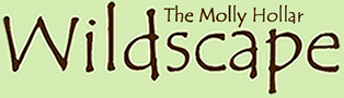 Molly Hollar Wildscape